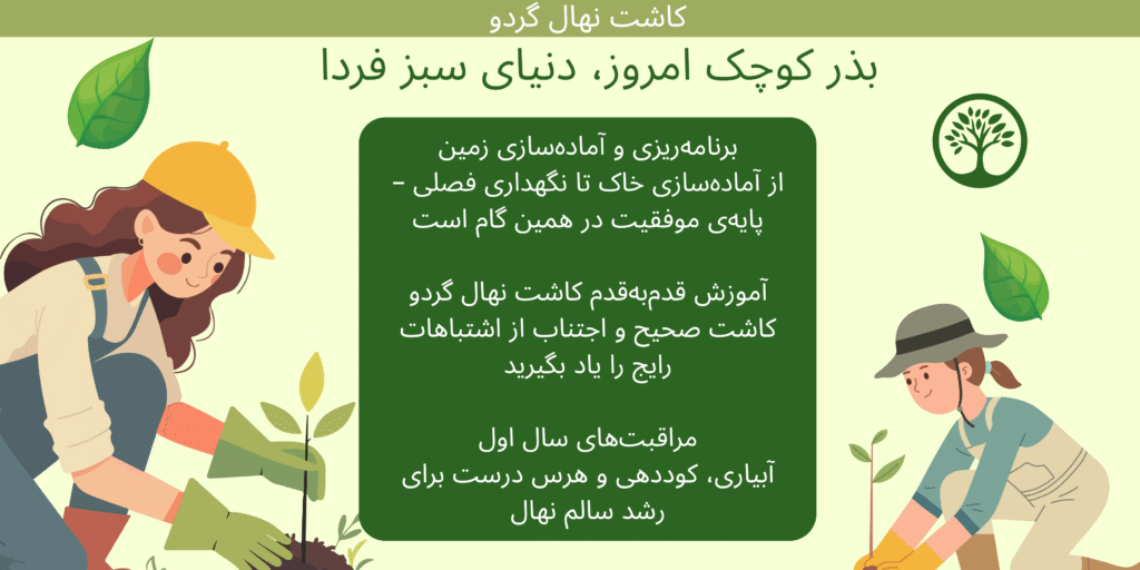 کاشت نهال گردو راهنمای جامع و کاربردی www.nahalvand.com