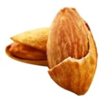 درخت بادام نون پاریل