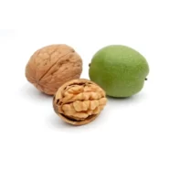درخت گردو اسرائیلی