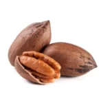 درخت گردو پکان