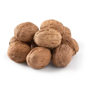 درخت گردو فرنور