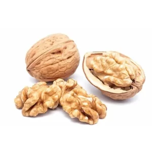 درخت گردو پدرو