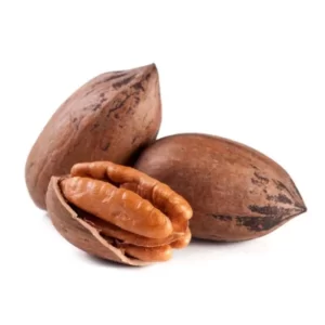 درخت گردو پکان