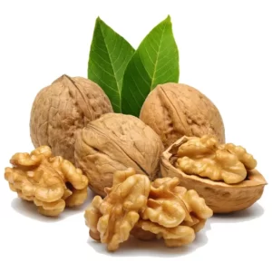 درخت گردو چندلر