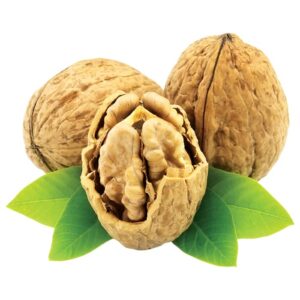 درخت گردو ژنوتیپ