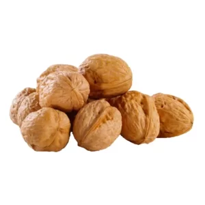 درخت گردو ژنوتیپ