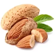 درخت بادام آذر