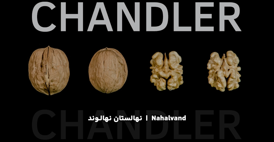 نهال گردو چندلر