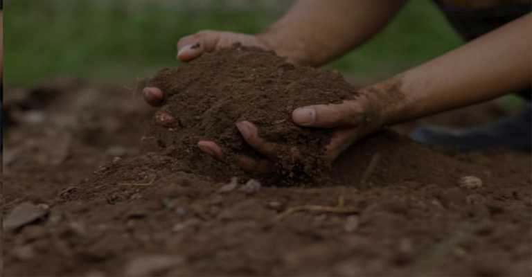 Getting soil moisture
www.nahalvand.com