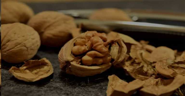 Walnuts and walnut kernels have not been dried properly.