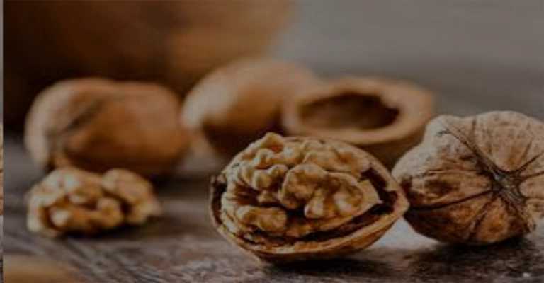 Improve brain function
www.nahalvand.com