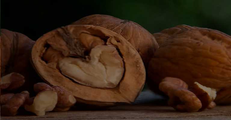 Advantages and disadvantages of the Fernor walnut tree
www.nahalvand.com