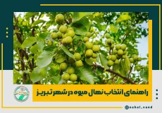 خرید نهال از تبریز