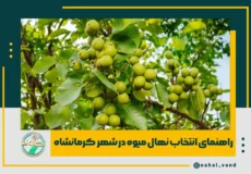 خرید نهال از کرمانشاه