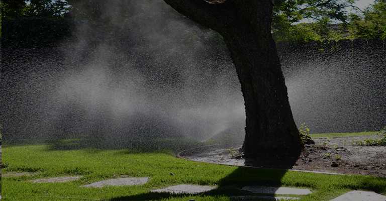 Sprinkler system watering green grass and a tree trunk in a garden
www.nahalvand.com