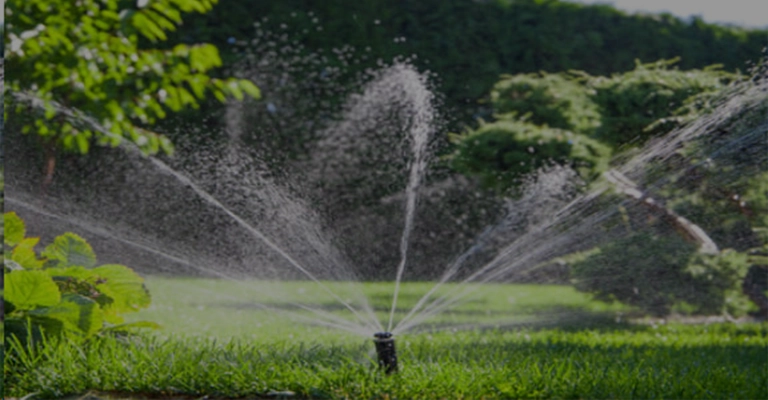  www.nahalvand.com Rotary sprinkler watering green grass and shrubs in a sunny garden
