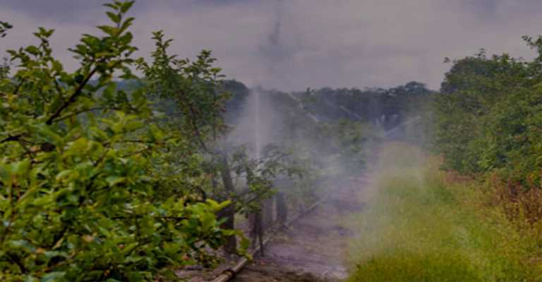 The best way to water fruit trees
www.nahalvand.com