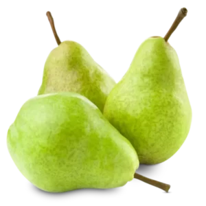 مشخصات نهال گلابی مشو