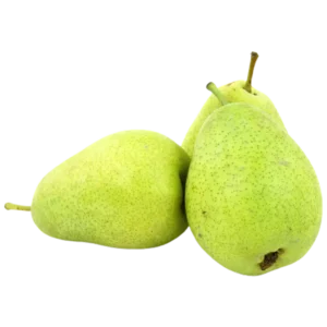 مشخصات نهال گلابی ویلیام دوشیز