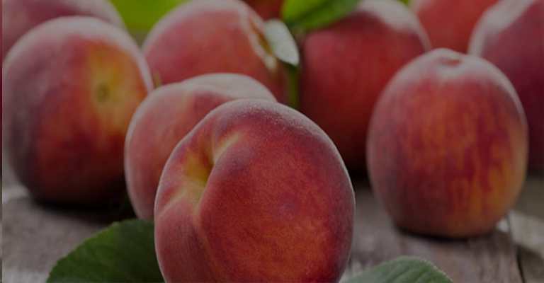 The best peach
www.nahalvand.com