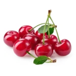 مشخصات نهال آلبالو مجارستانی