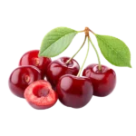 مشخصات نهال آلبالو محلی