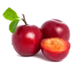 مشخصات نهال آلو سانتروزا (سانتریزا)