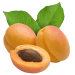 مشخصات نهال زردآلو عسگرآباد