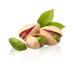 مشخصات نهال پسته اسرائیلی
