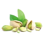 مشخصات نهال پسته اکبری
