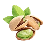 مشخصات نهال پسته کله قوچی