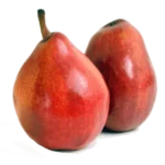 مشخصات نهال گلابی آنجو