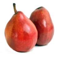 نهال گلابی، نهال گلابی اصلاح شده، نهال گلابی پایه کوتاه، خرید نهال گلابی، قیمت نهال گلابی، فروش نهال گلابی، نهال گیلاس،خرید نهال گیلاس، قیمت نهال گیلاس، فروش نهال گیلاس، نهال گیلاس اصلاح شده، قیمت نهال گیلاس اصلاح شده نهال گلابی، نهال گلابی اصلاح شده، نهال گلابی پایه کوتاه، خرید نهال گلابی، قیمت نهال گلابی، فروش نهال گلابی، نهال گیلاس،خرید نهال گیلاس، قیمت نهال گیلاس، فروش نهال گیلاس، نهال گیلاس اصلاح شده، قیمت نهال گیلاس اصلاح شده