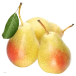 مشخصات نهال گلابی نطنزی