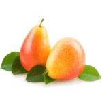 مشخصات نهال گلابی پرتقالی