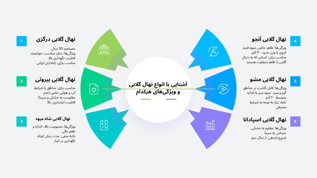 اینفوگرافیک انواع نهال گلابی و ویژگی‌های ژنتیکی آنها - انتخاب بهترین نهال گلابی برای باغداری www.nahalvand.com