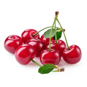 مشخصات نهال آلبالو مجارستانی