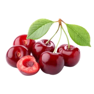 مشخصات نهال آلبالو محلی