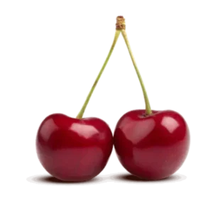 مشخصات نهال آلبالو گوشواره ای