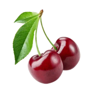 مشخصات نهال آلبالو گیسی