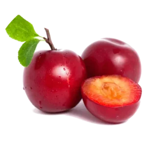مشخصات نهال آلو سانتروزا (سانتریزا)