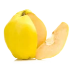 مشخصات درخت نهال به لیمو
