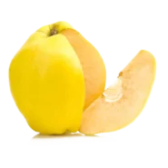 مشخصات درخت نهال به لیمو