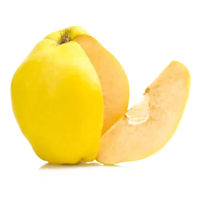 مشخصات درخت نهال به لیمو