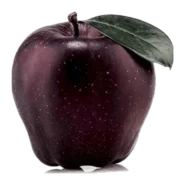 مشخصات نهال سیب جرومین