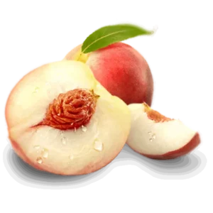 مشخصات درخت شلیل سان گلد