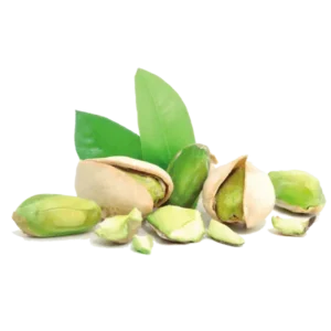 مشخصات نهال پسته اکبری
