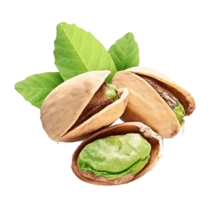 مشخصات نهال پسته کله قوچی