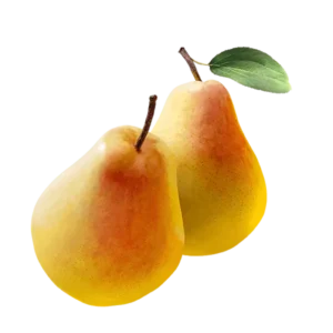 مشخصات نهال گلابی درگزی