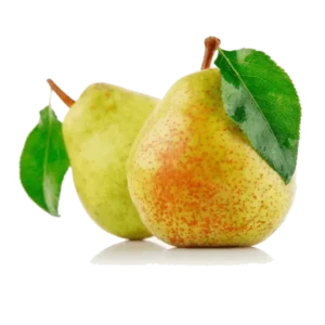 مشخصات نهال گلابی دوچی